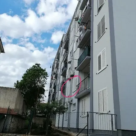 Apartment Mila Pula